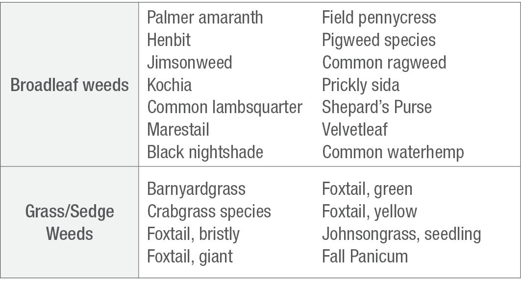 Partial listing of weeds labeled for control with TriVolt™ herbicide 